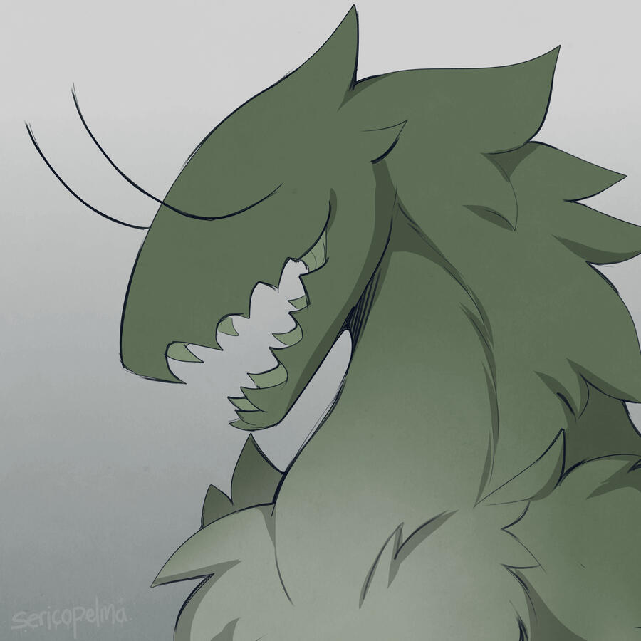 Headshot trade (Sericopelma)